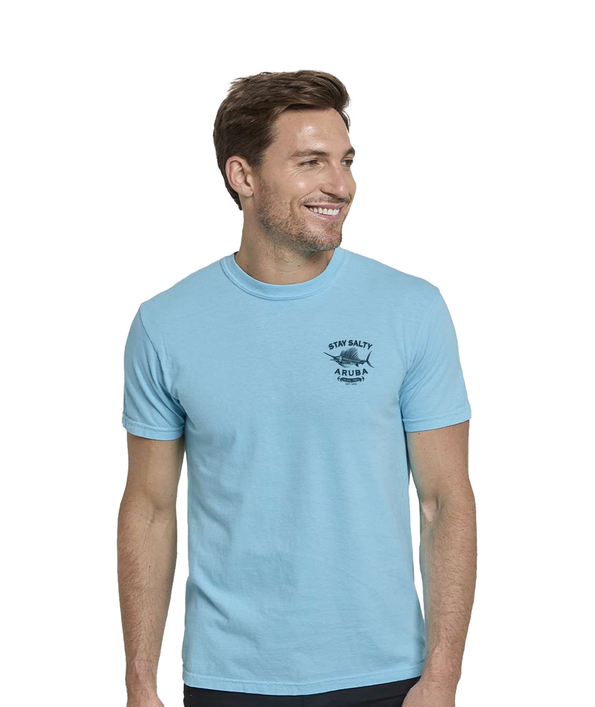 D137 - C1200 - Threadfast Apparel - Unisex Colors Garment-Dyed T-Shirt POOL BLUE