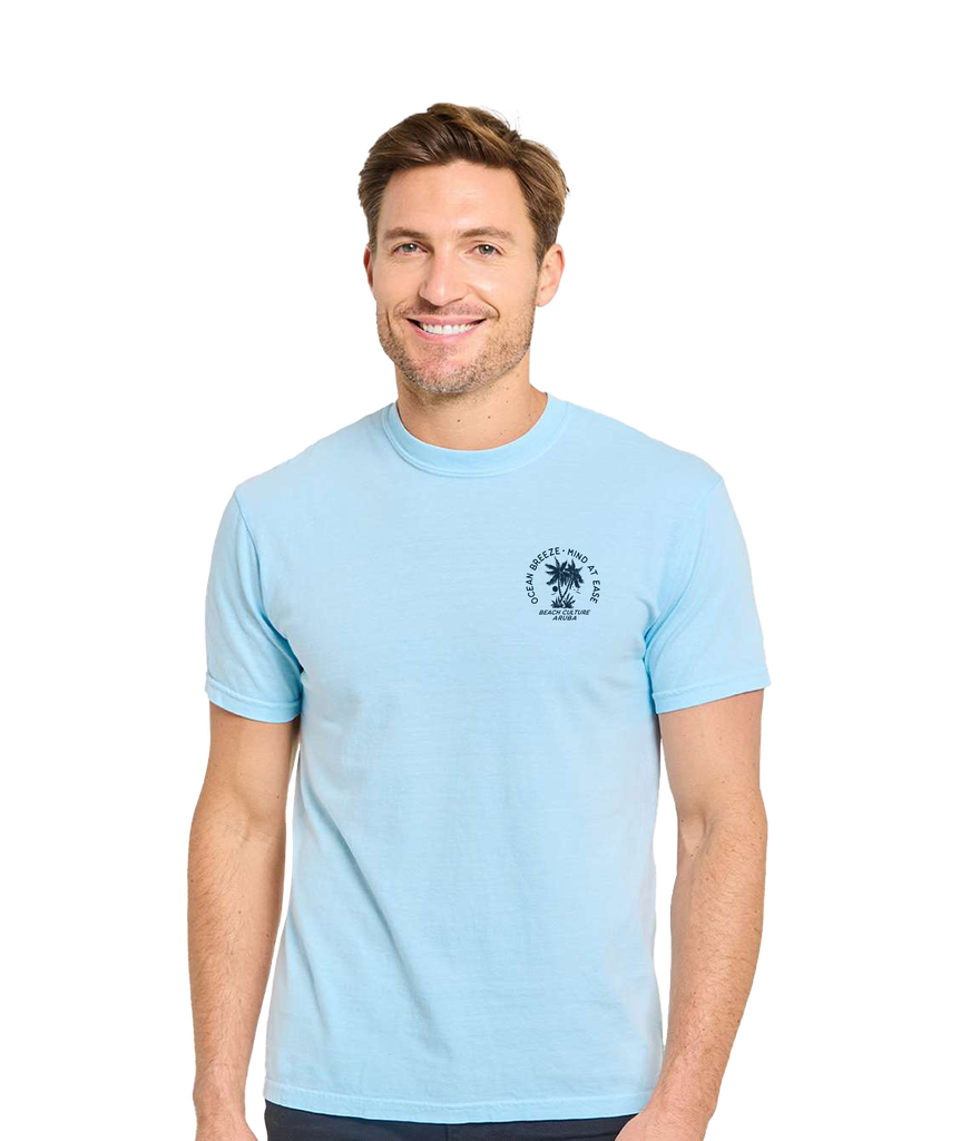 D193 - C1200 - Threadfast Apparel - Unisex Colors Garment-Dyed T-Shirt CHAMBRAY