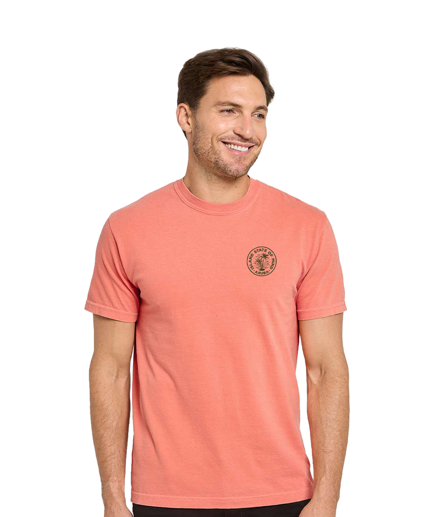 D195 - C1200 - Threadfast Apparel - Unisex Colors Garment-Dyed T-Shirt SALMON